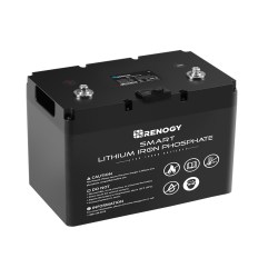 LiFePO4 (LFP)  12V, 100Ah battery3